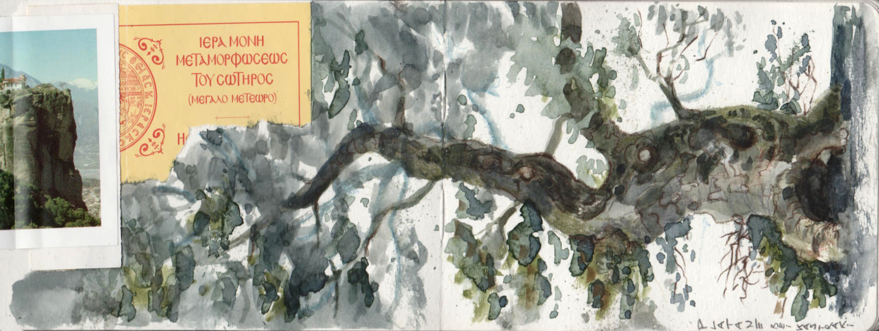 tree in Kastraki